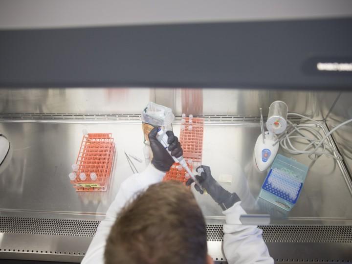 Overhead view of student wearing gloves and lab coat using a pipette and test tube racks