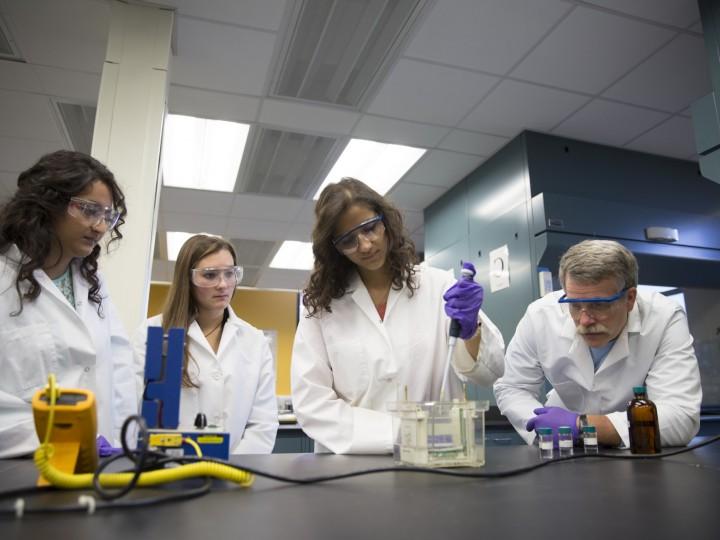 Students loading samples into the gel during a lab project